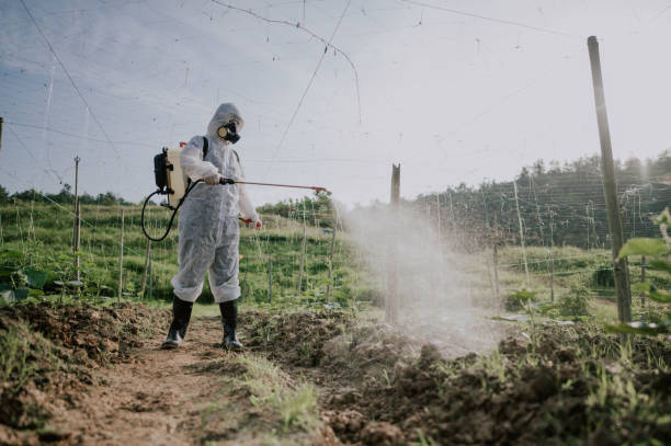 Best Best Pest Control Companies  in Mono Vista, CA
