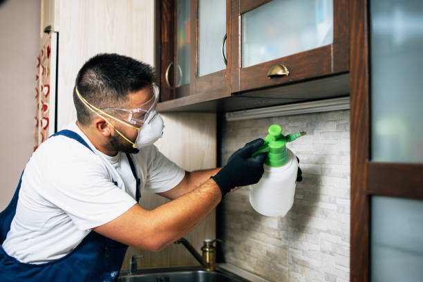 Best Pest Inspection Near Me  in Mono Vista, CA