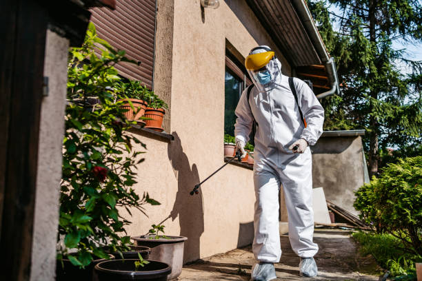 Best Rodent Control Near Me  in Mono Vista, CA