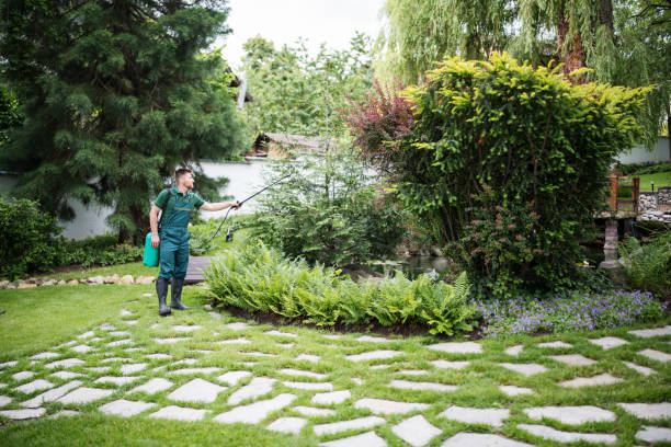 Best Affordable Pest Control Services  in Mono Vista, CA