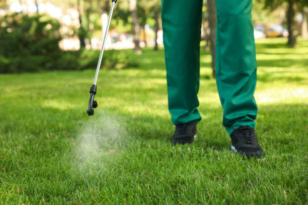 Best Ant Control Services  in Mono Vista, CA