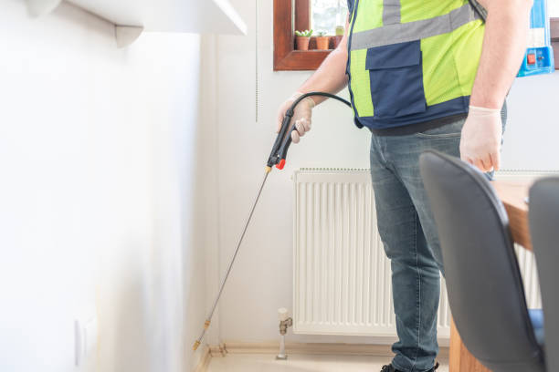 Best Termite Control Services  in Mono Vista, CA