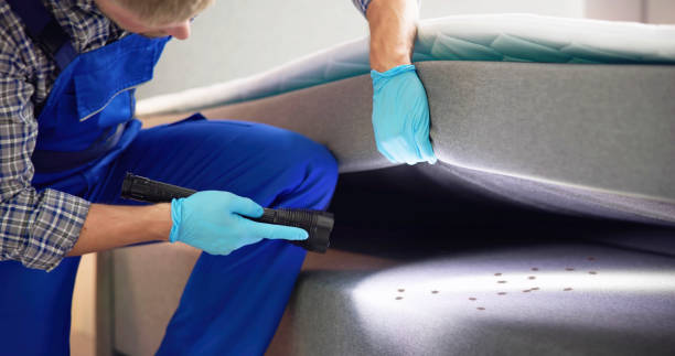 Best Best Pest Control Companies  in Mono Vista, CA
