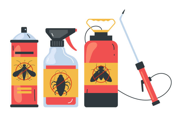 Best Spider Control Near Me  in Mono Vista, CA