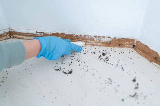 Best Wildlife Control Services  in Mono Vista, CA