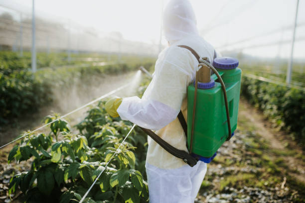Best Flea Control Services  in Mono Vista, CA